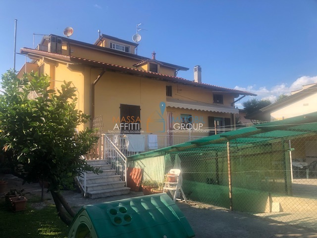 Immagine video