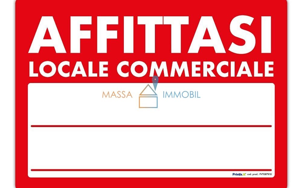 Immagine video