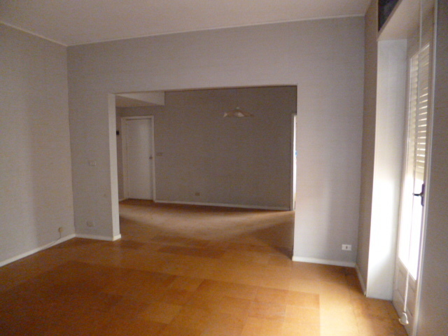 Immagine video