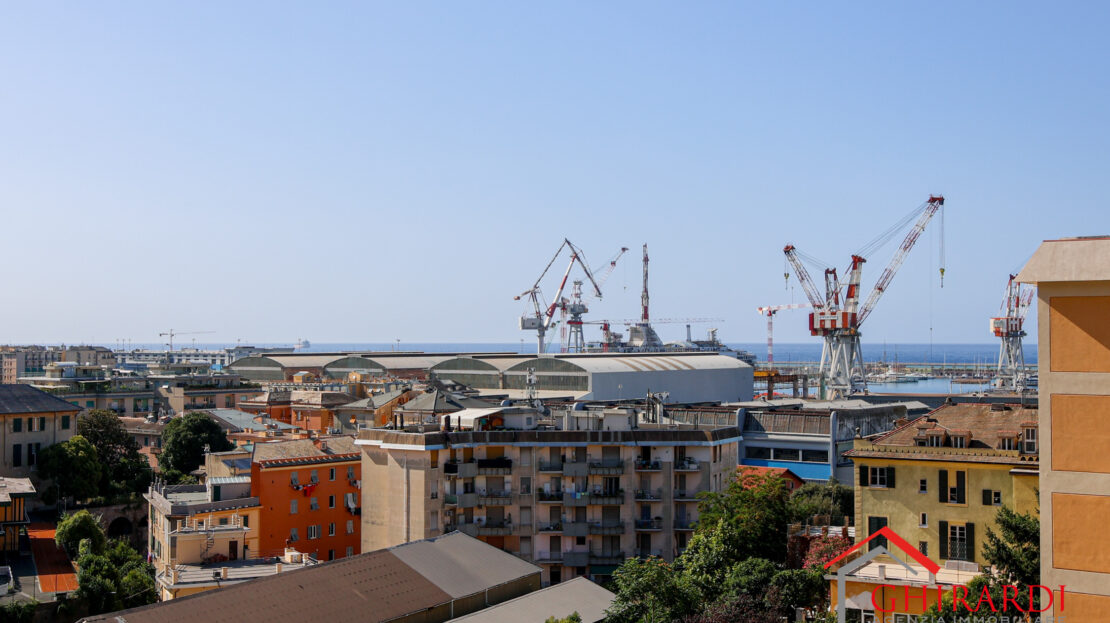 Immagine video