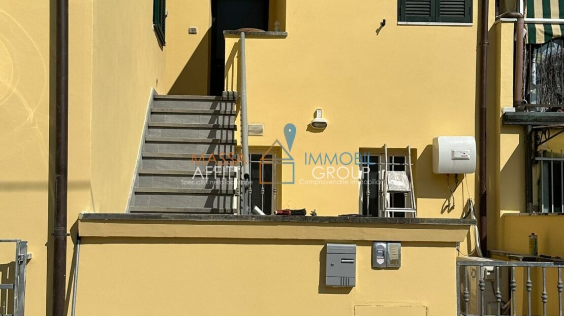 Immagine video