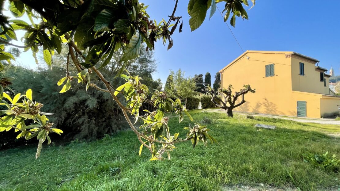 Immagine video