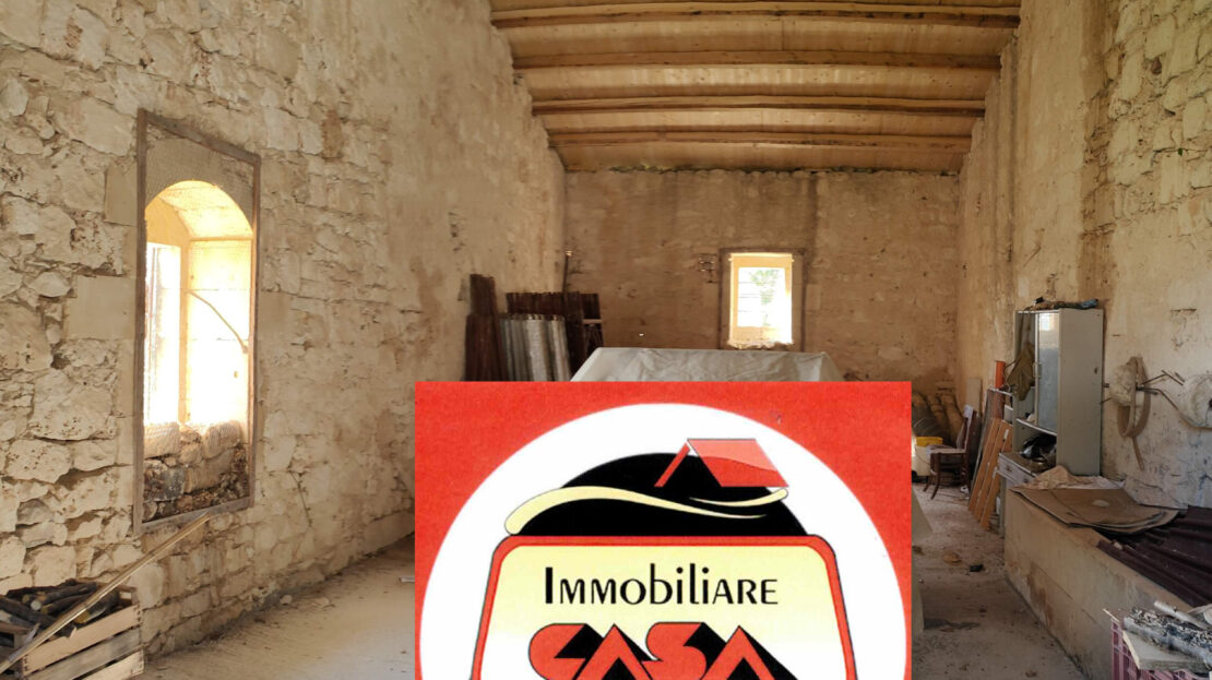 Immagine video