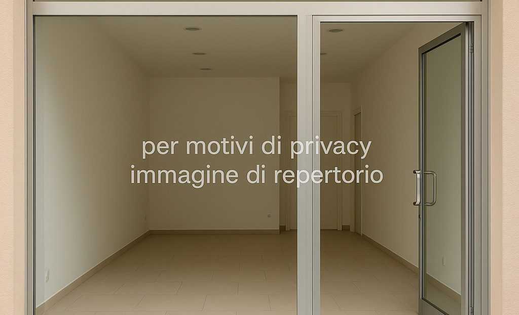 Immagine video