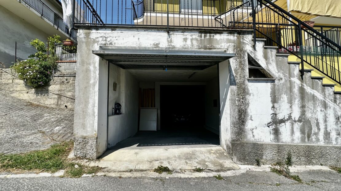 Immagine video