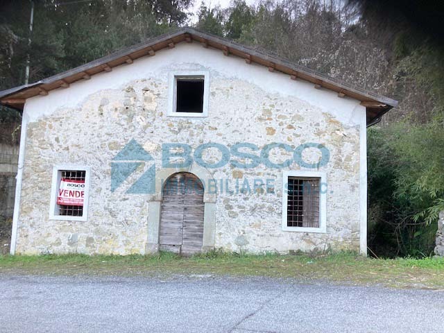 Immagine video