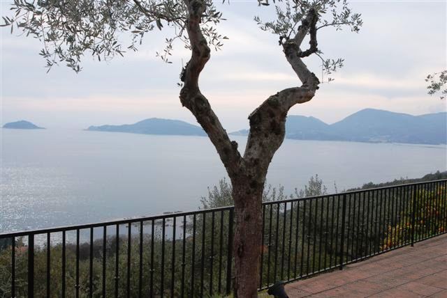 Immagine video