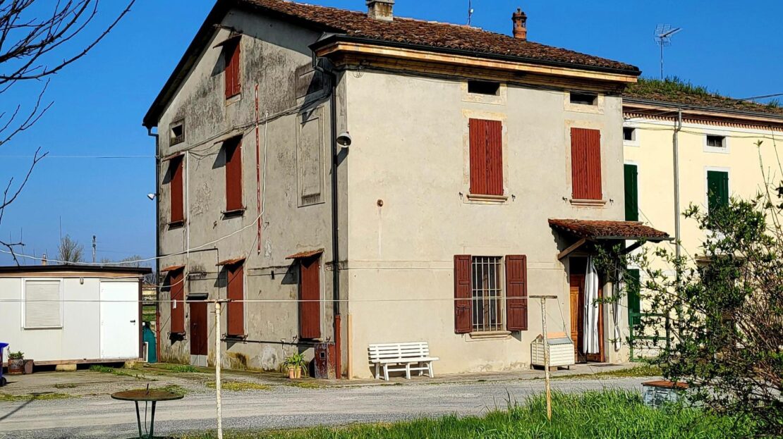 Immagine video