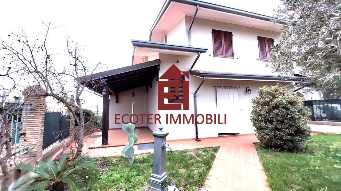 Immagine video