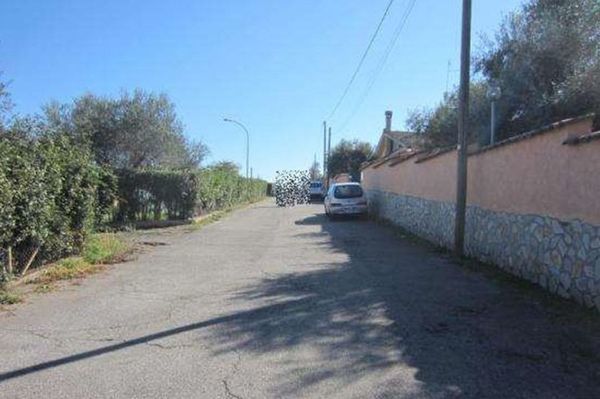 Immagine video