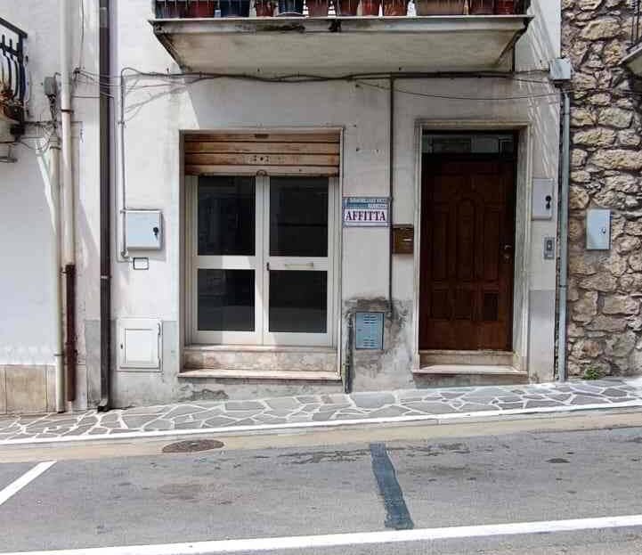 Immagine video
