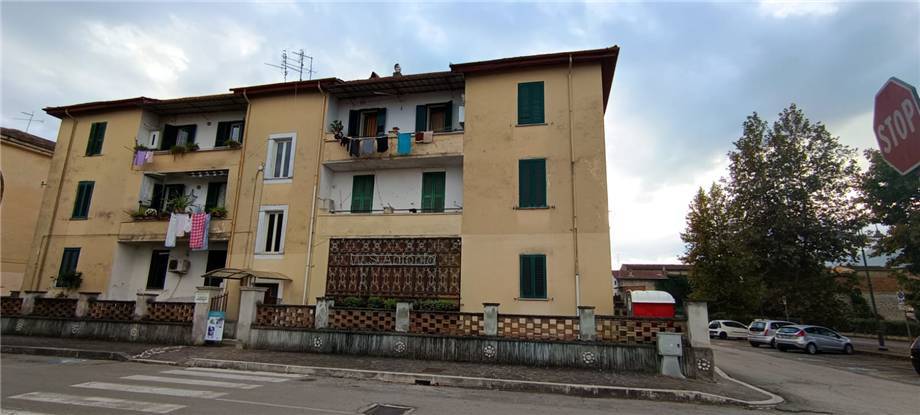Immagine video