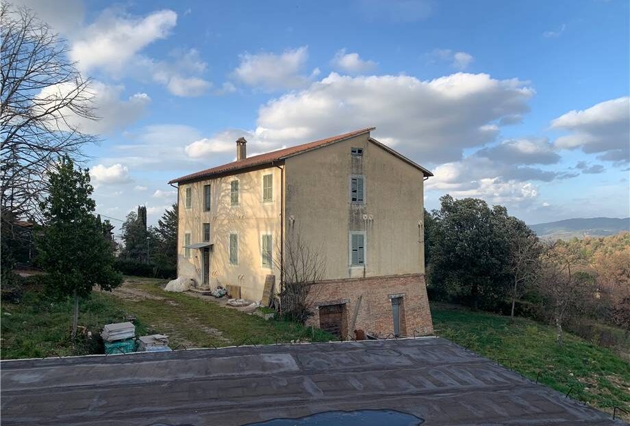 Immagine video