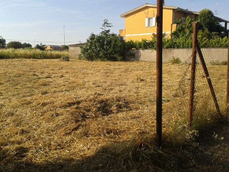 Immagine video