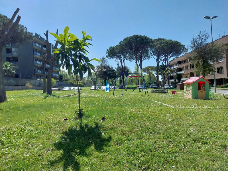 Immagine video