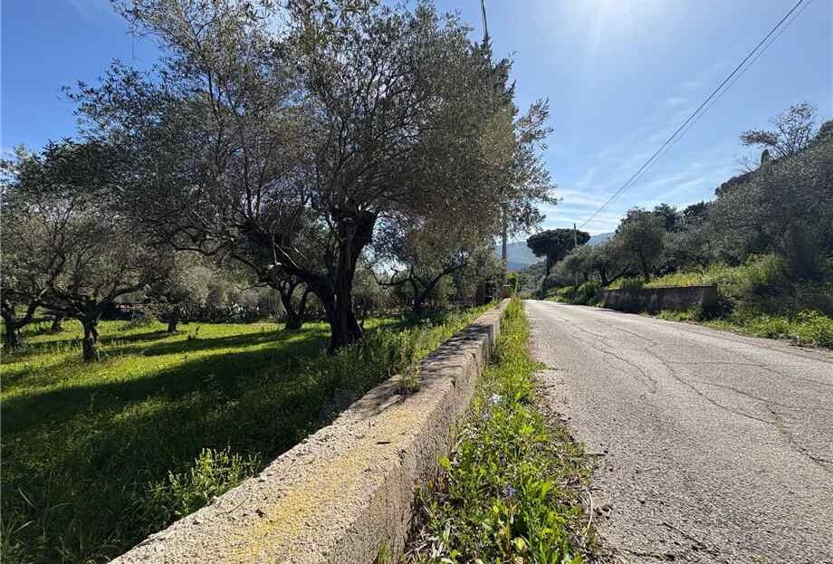Immagine video
