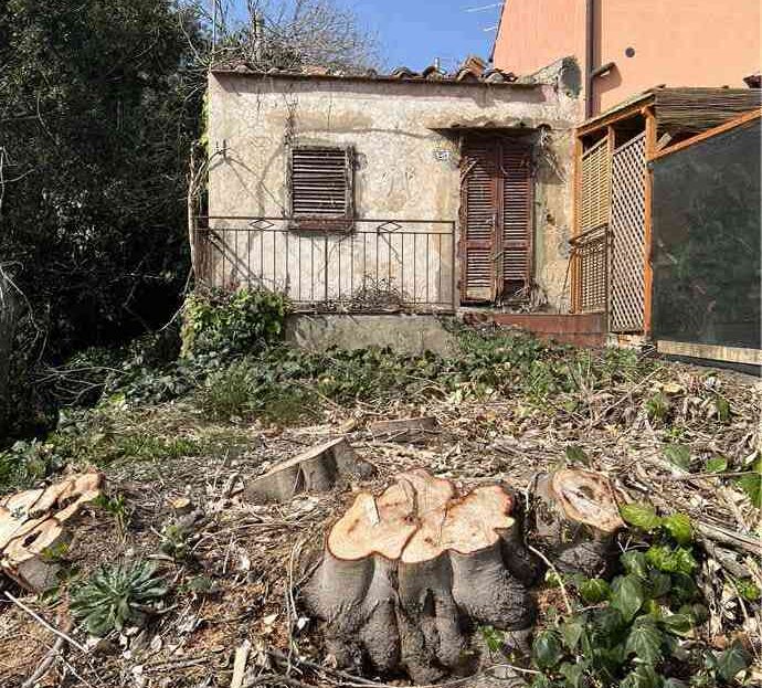 Immagine video