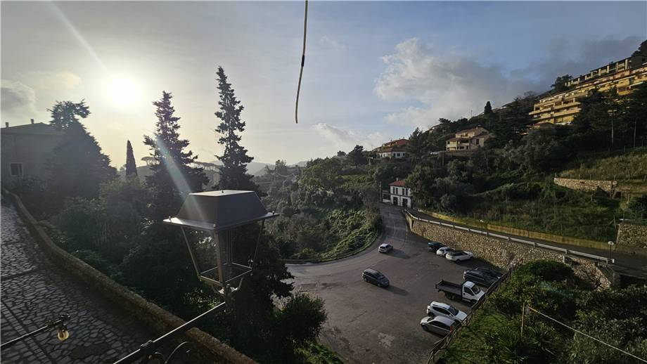 Immagine video
