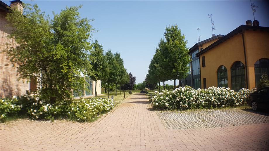 Immagine video