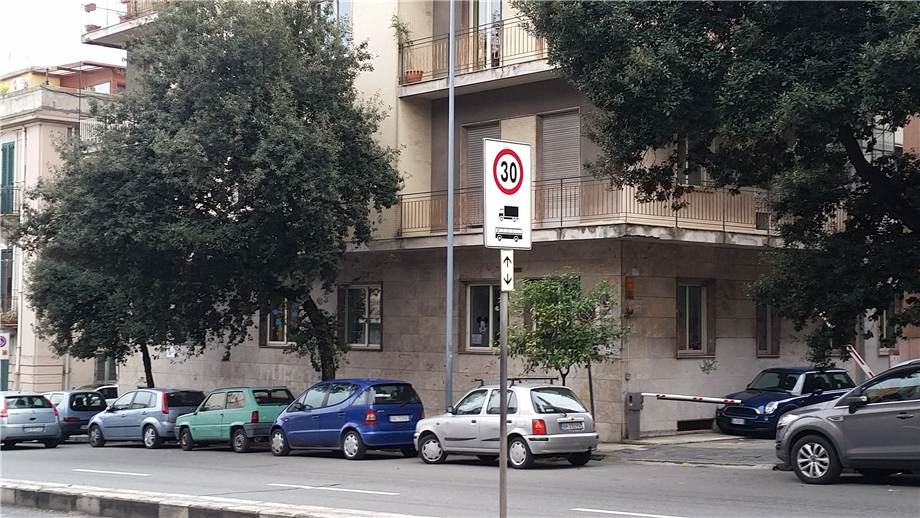 Immagine video
