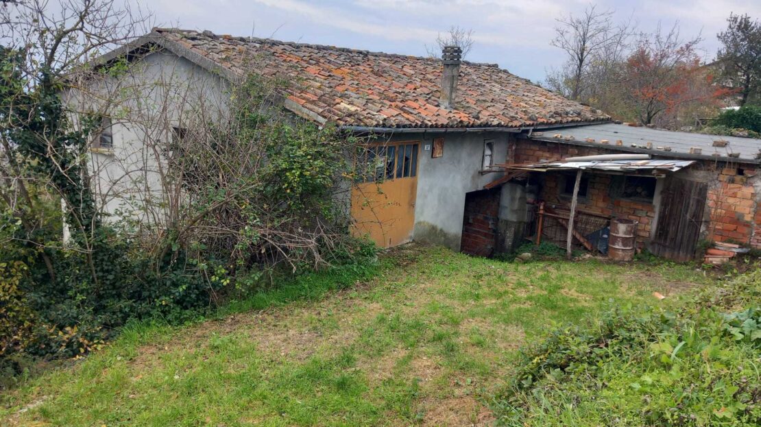 Immagine video