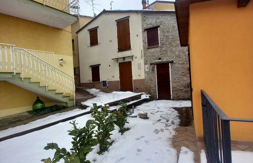 Immagine video