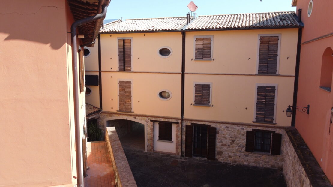 Immagine video