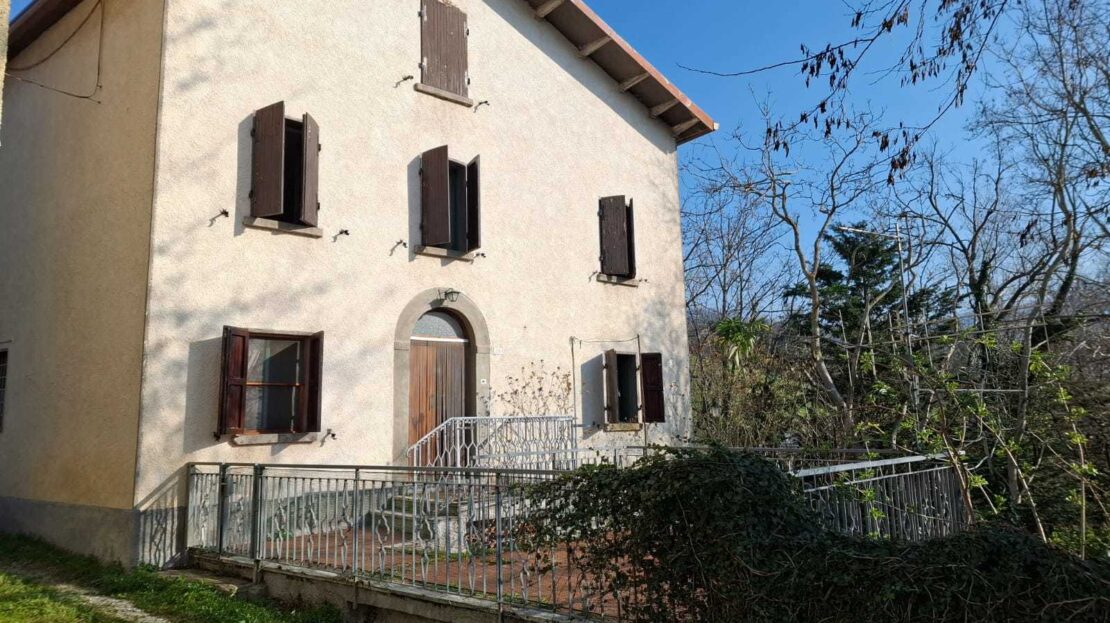 Immagine video