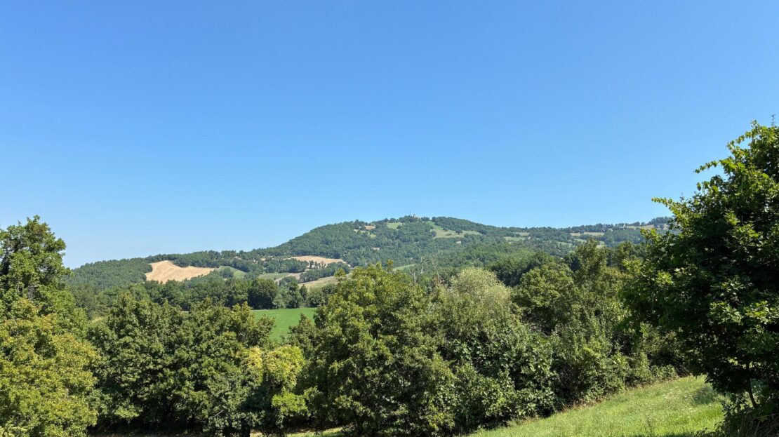 Immagine video