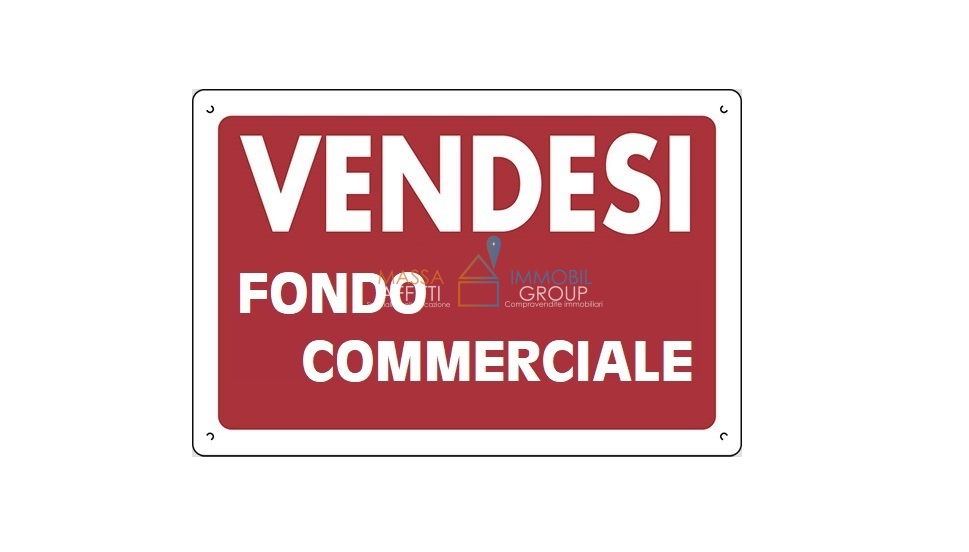 Immagine video