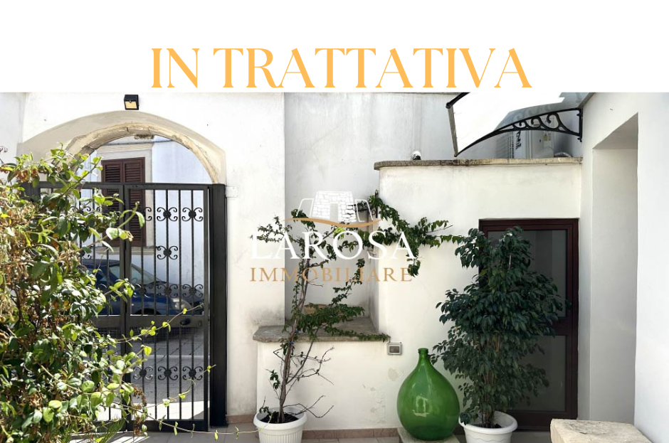 Immagine video