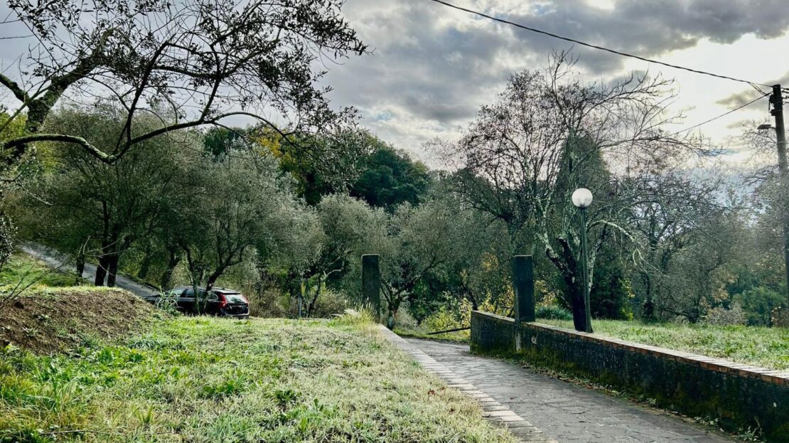 Immagine video