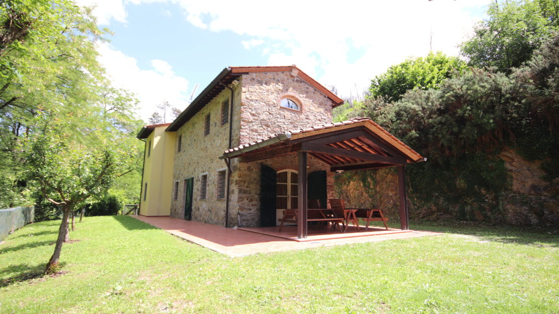 Immagine video