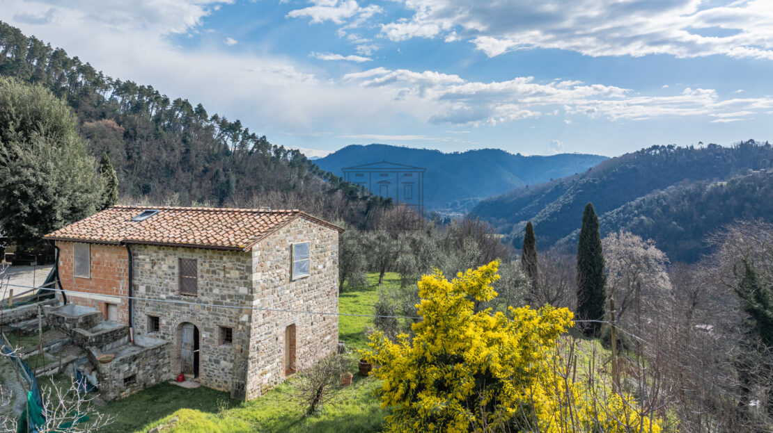 Immagine video
