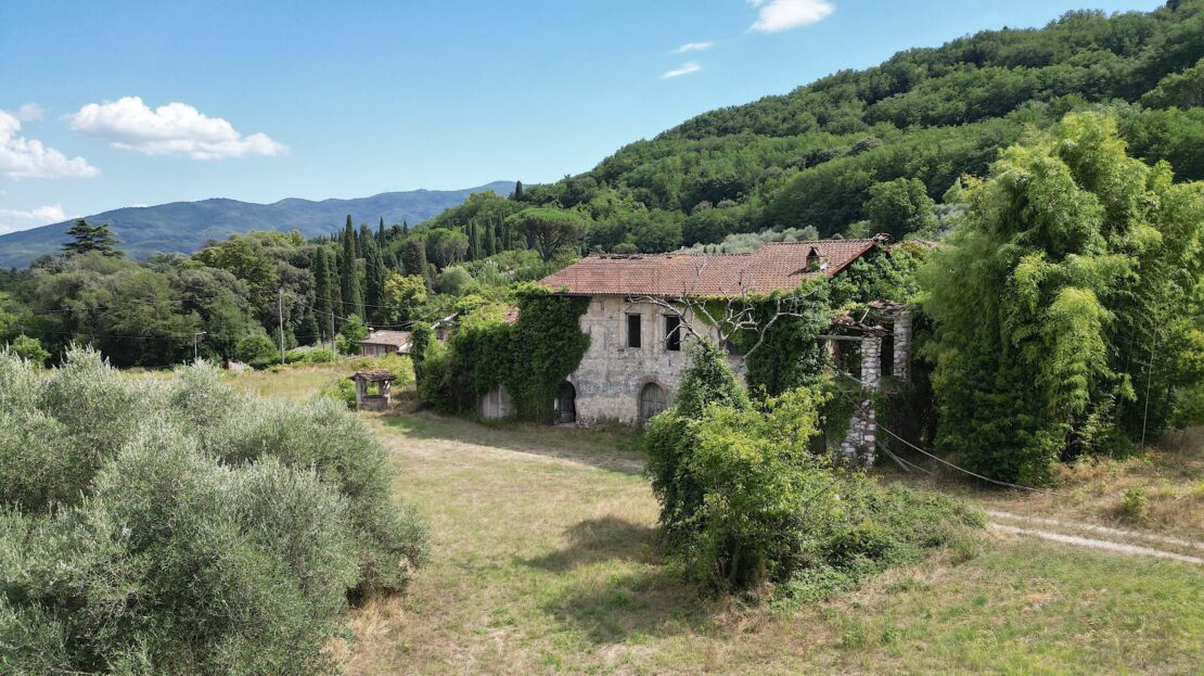 Immagine video