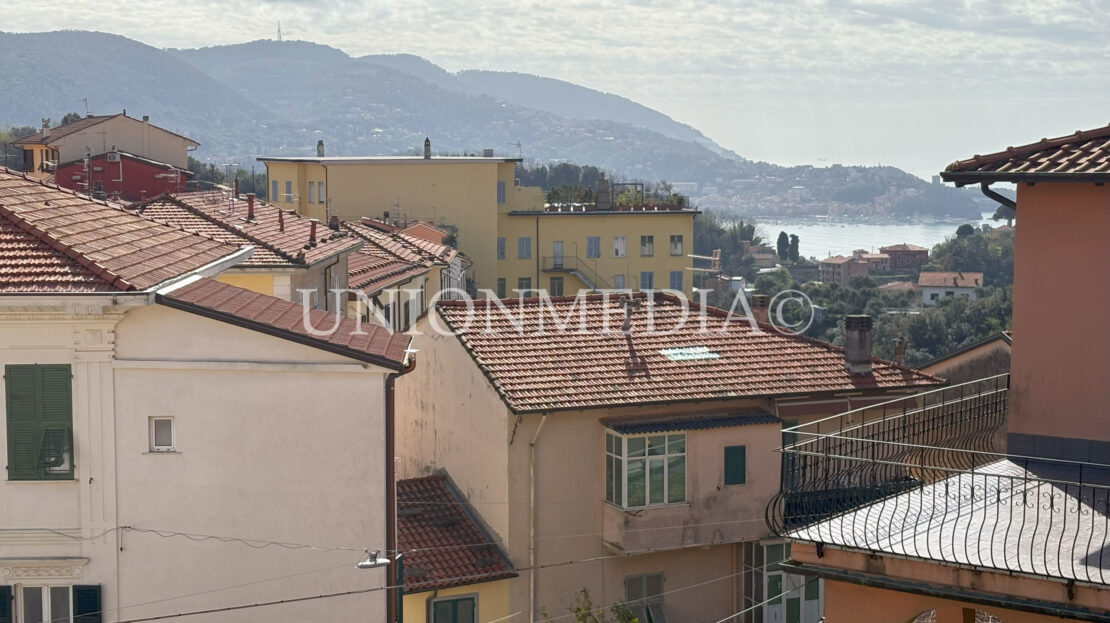 Immagine video