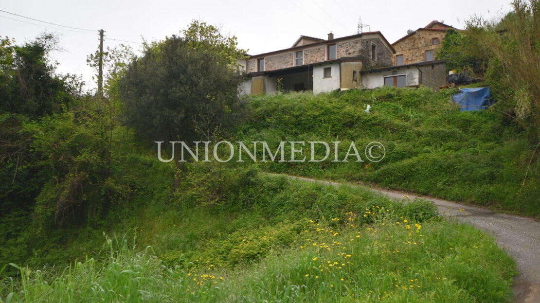 Immagine video