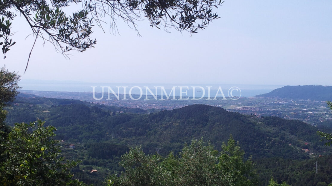 Immagine video