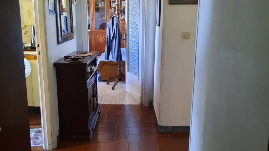 Immagine video