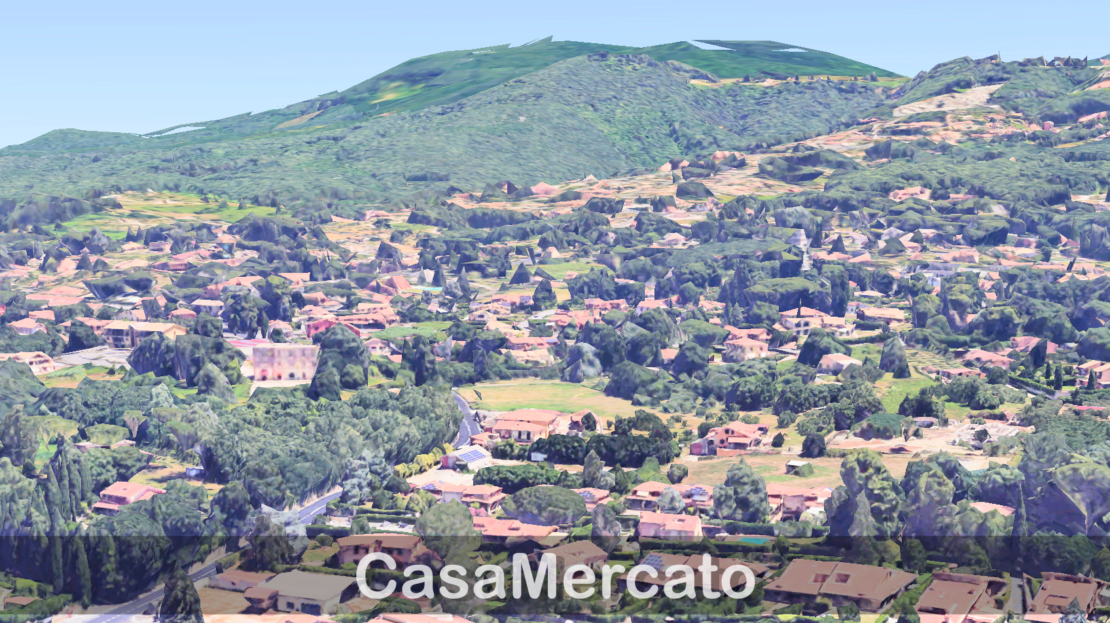 Immagine video