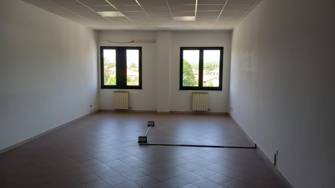Immagine video