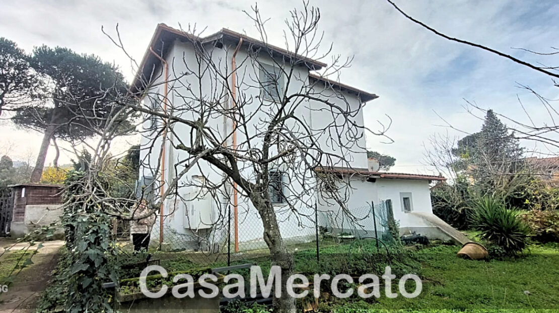 Immagine video