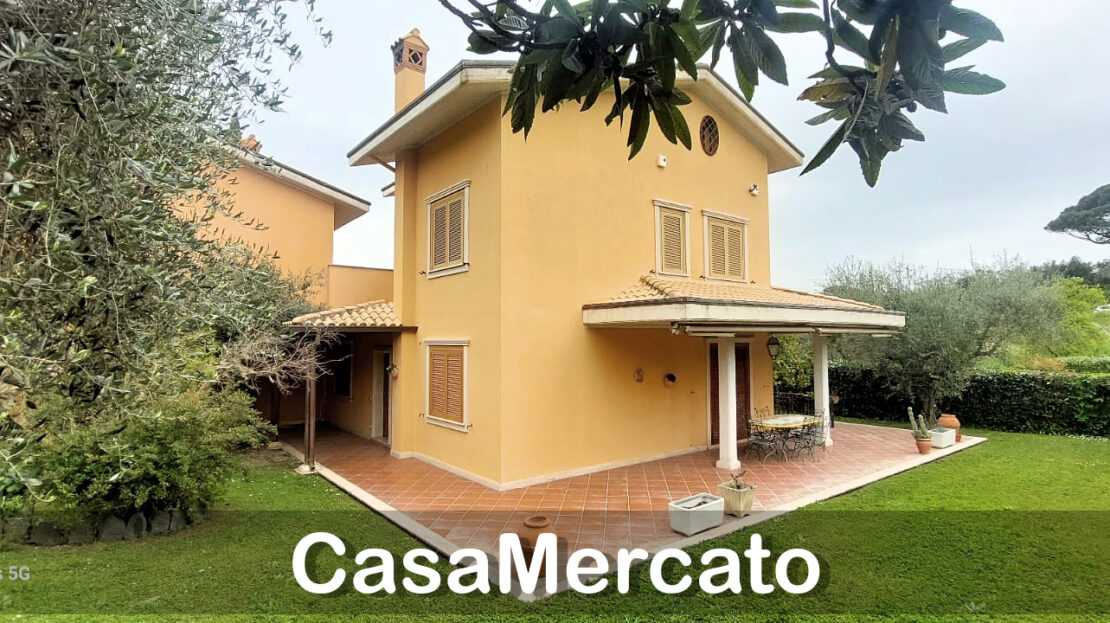 Immagine video