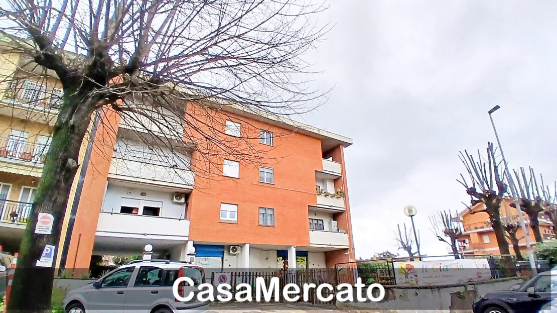 Immagine video