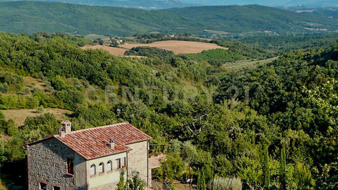 Immagine video