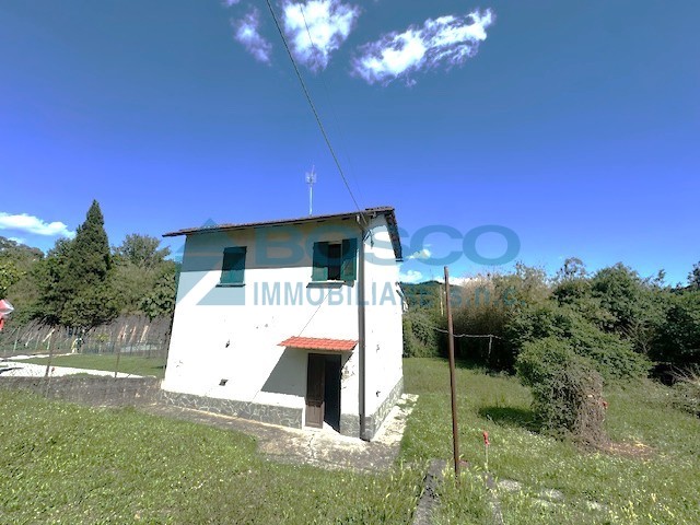 Immagine video