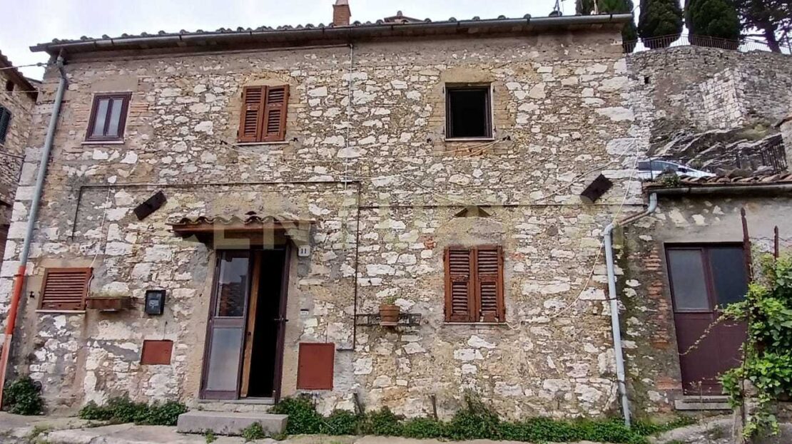Immagine video