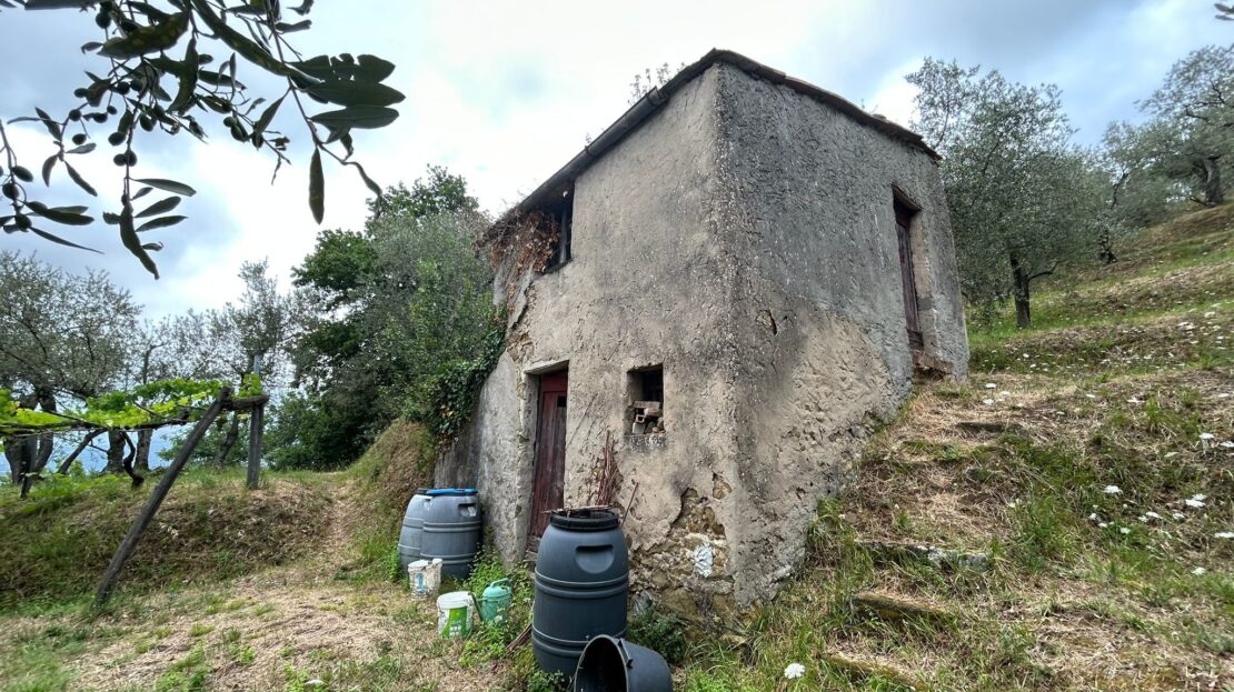 Immagine video