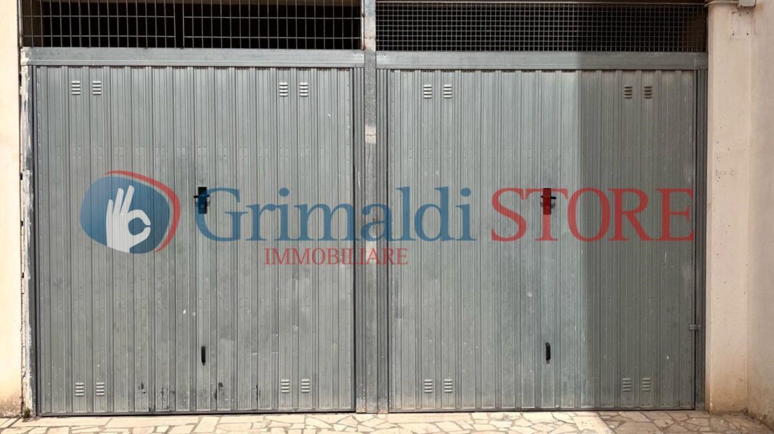 Immagine video