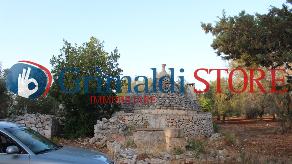 Immagine video